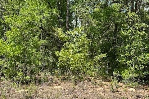 Terreno en venta en Dunnellon, Florida № 2212414 - foto 4
