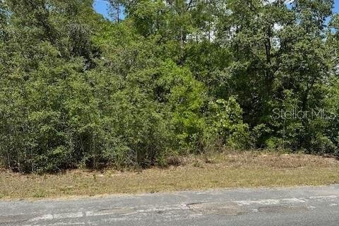Terreno en venta en Dunnellon, Florida № 2212414 - foto 3