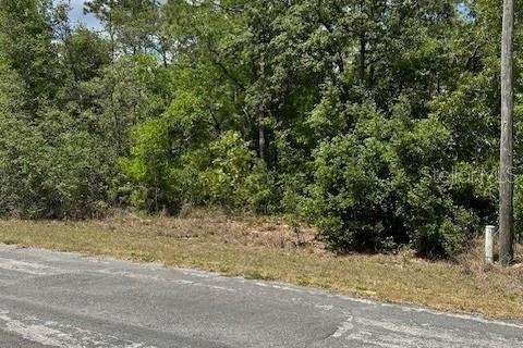 Terreno en venta en Dunnellon, Florida № 2212414 - foto 2