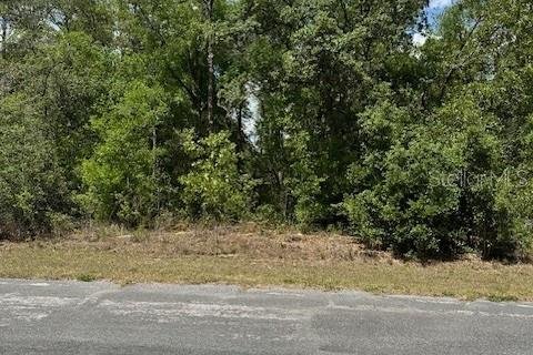 Terreno en Dunnellon, Florida № 2212414