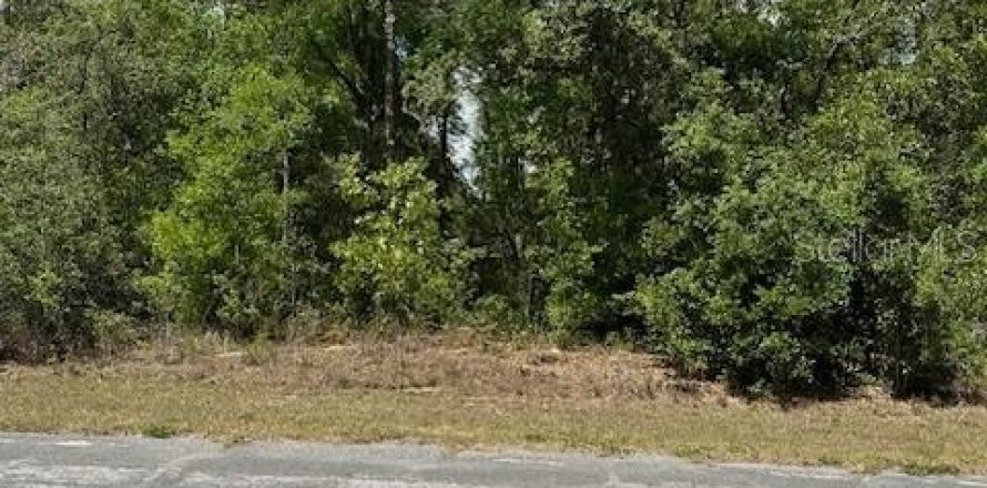 Terreno en Dunnellon, Florida № 2212414