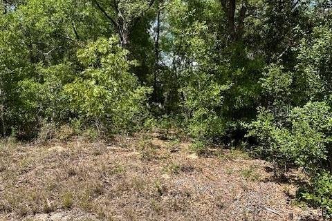 Terreno en venta en Dunnellon, Florida № 2212414 - foto 5
