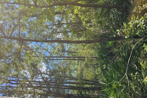 Land in Palatka, Florida № 771991 - photo 1
