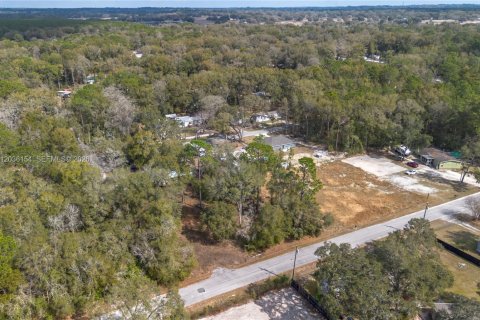 Land in Ocala, Florida № 2158382 - photo 7