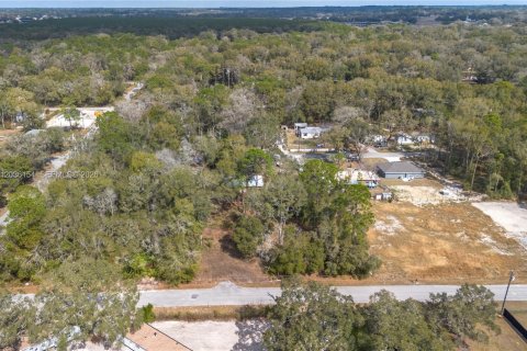 Land in Ocala, Florida № 2158382 - photo 3