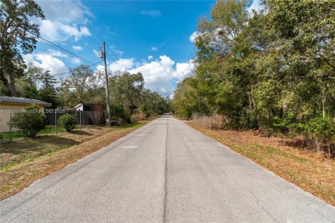 Land in Ocala, Florida № 2158382 - photo 9