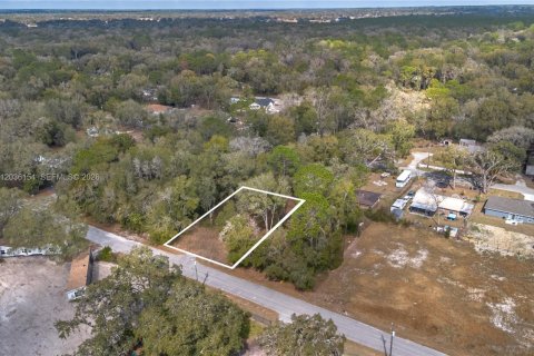 Land in Ocala, Florida № 2158382