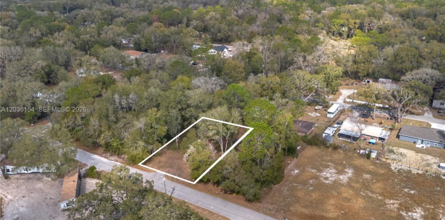 Land in Ocala, Florida № 2158382