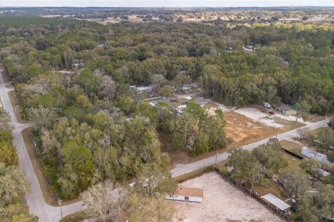 Land in Ocala, Florida № 2158382 - photo 4