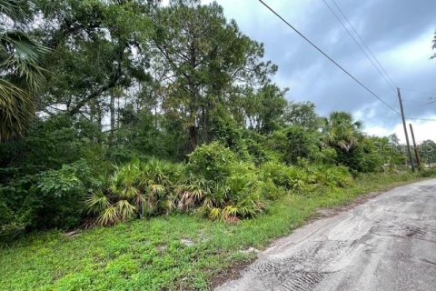 Land in New Port Richey, Florida № 1762107 - photo 4