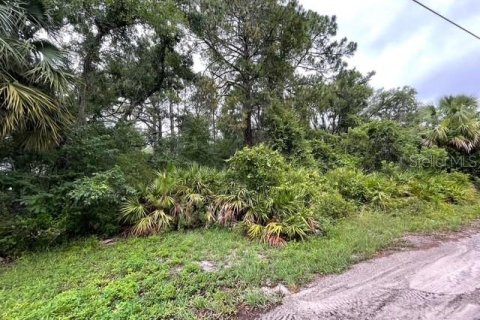 Land in New Port Richey, Florida № 1762107 - photo 6