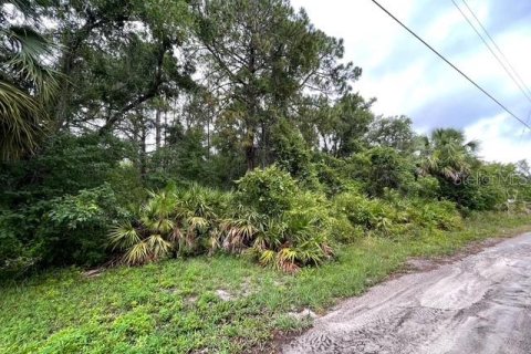 Land in New Port Richey, Florida № 1762107 - photo 5