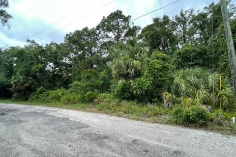 Land in New Port Richey, Florida № 1762107 - photo 1