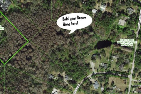 Land in New Port Richey, Florida № 1762107 - photo 2