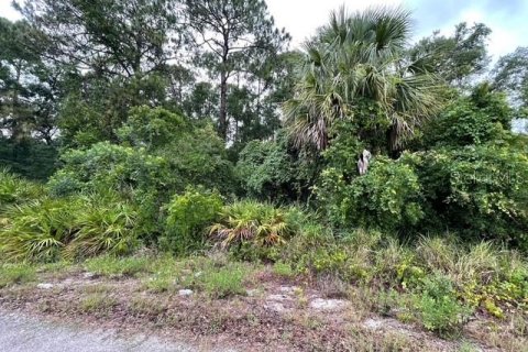 Land in New Port Richey, Florida № 1762107 - photo 7