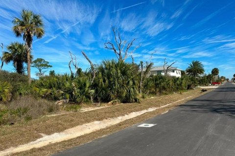 Terreno en venta en Palm Coast, Florida № 1434828 - foto 1
