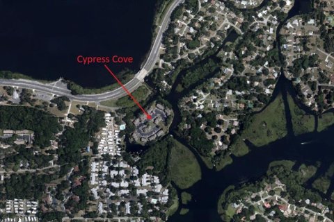 Купить таунхаус в Инвернесс, Флорида 3 комнаты, 116.87м2, № 1795179 - фото 30