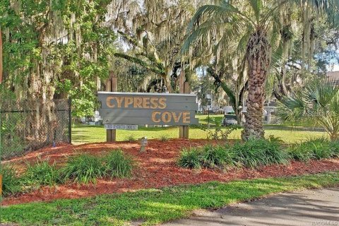 Купить таунхаус в Инвернесс, Флорида 3 комнаты, 116.87м2, № 1795179 - фото 24