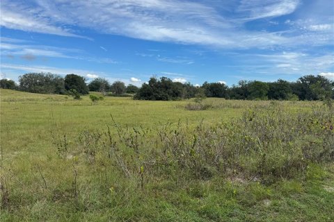 Terrain à Astatula, Floride № 2395583