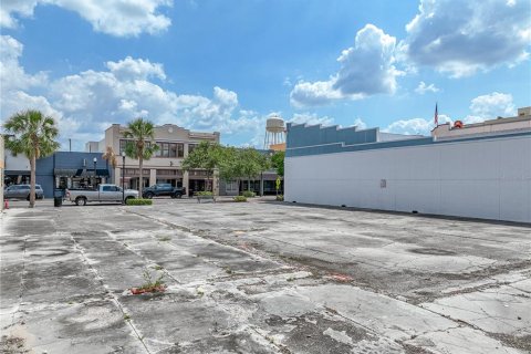 Land in Winter Haven, Florida № 1755192 - photo 13