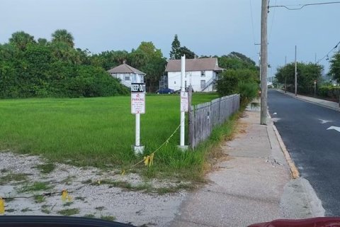 Land in Daytona Beach, Florida № 2151077 - photo 3