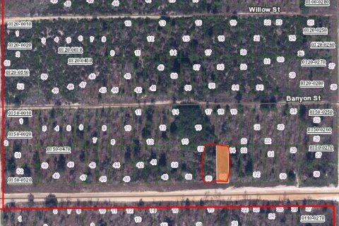 Land in Interlachen, Florida № 2223868 - photo 2