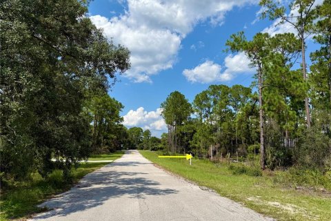Land in Eustis, Florida № 1894997 - photo 7