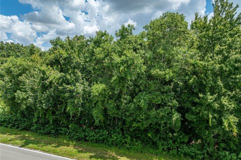 Land in Lake Wales, Florida № 1906055 - photo 22