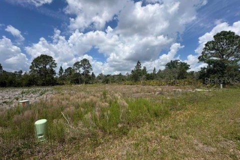 Land in Sebring, Florida № 2386302 - photo 22