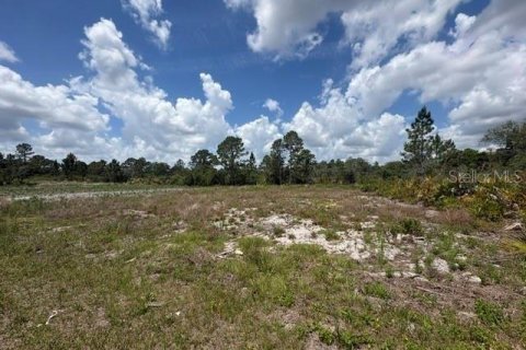 Land in Sebring, Florida № 2386302 - photo 21