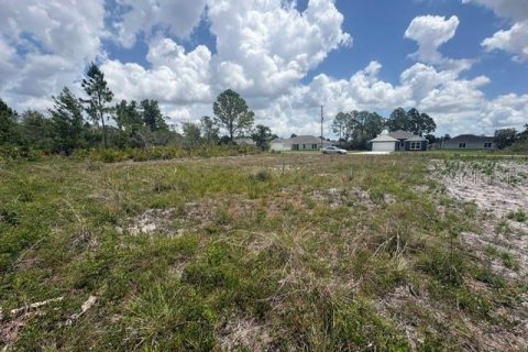 Land in Sebring, Florida № 2386302 - photo 17