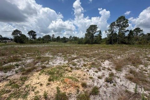 Land in Sebring, Florida № 2386302 - photo 20