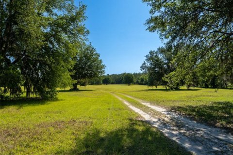House in Reddick, Florida 3 bedrooms, 181.53 sq.m. № 1656694 - photo 2