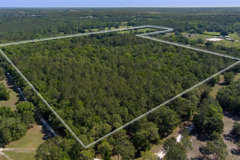 House in Reddick, Florida 3 bedrooms, 181.53 sq.m. № 1656694 - photo 19