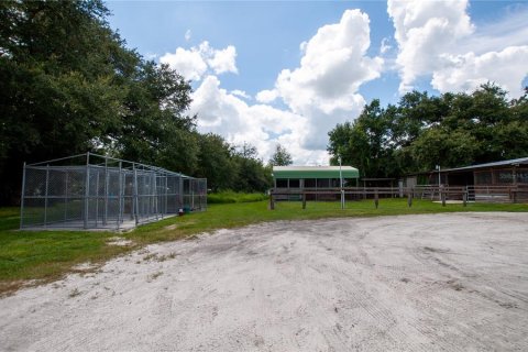 Commercial property in Arcadia, Florida 252.88 sq.m. № 1917517 - photo 8