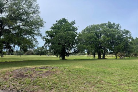 Condominio en alquiler en Sarasota, Florida, 1 dormitorio, 46.82 m2 № 2112117 - foto 15