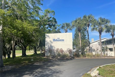Condominio en alquiler en Sarasota, Florida, 1 dormitorio, 46.82 m2 № 2112117 - foto 13