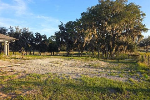 Casa en venta en Avon Park, Florida, 3 dormitorios, 278.71 m2 № 2115929 - foto 2