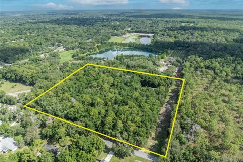 Terreno en venta en Apopka, Florida № 1532524 - foto 4