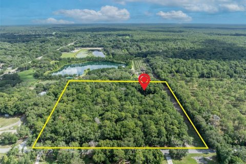 Terreno en venta en Apopka, Florida № 1532524 - foto 5