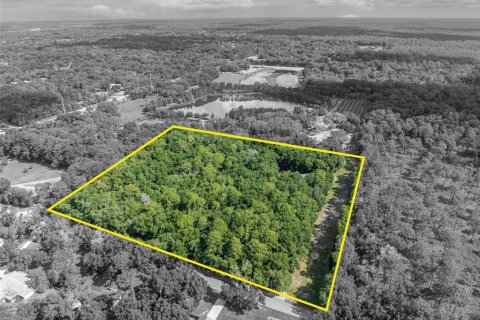 Terreno en venta en Apopka, Florida № 1532524 - foto 3