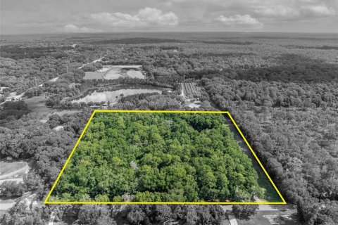 Terreno en venta en Apopka, Florida № 1532524 - foto 2