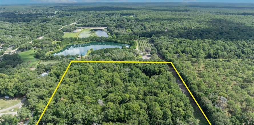 Terreno en Apopka, Florida № 1532524
