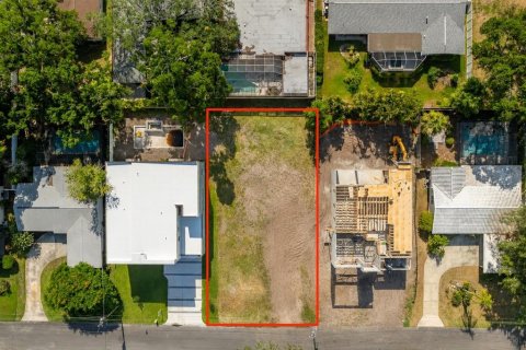 Land in Tampa, Florida № 2095852 - photo 3