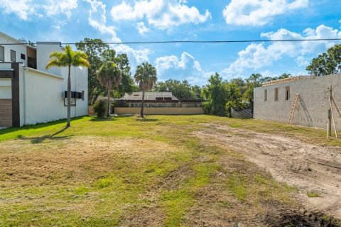 Land in Tampa, Florida № 2095852 - photo 6
