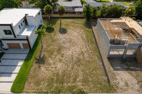 Land in Tampa, Florida № 2095852 - photo 4