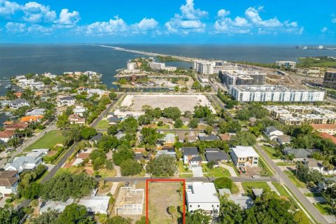 Land in Tampa, Florida № 2095852