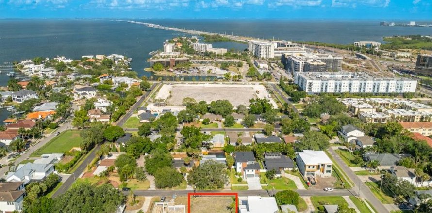 Land in Tampa, Florida № 2095852