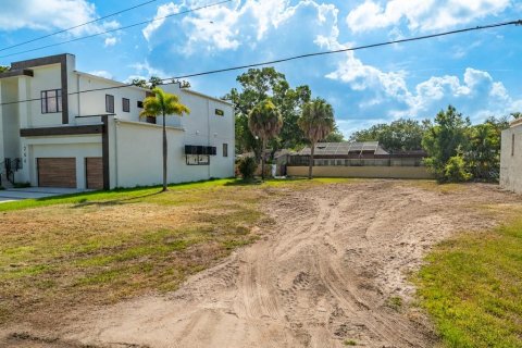 Land in Tampa, Florida № 2095852 - photo 5