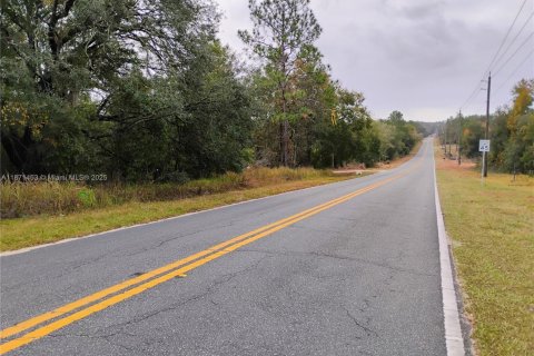 Terrain à vendre à Palatka, Floride № 1923536 - photo 3